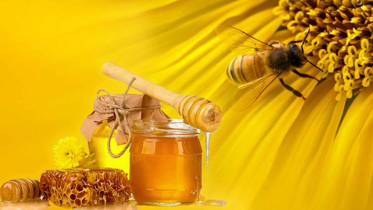 طبع عسل گرم است یا سرد